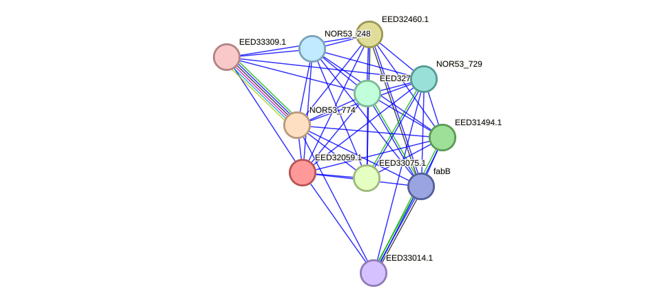 STRING protein interaction network