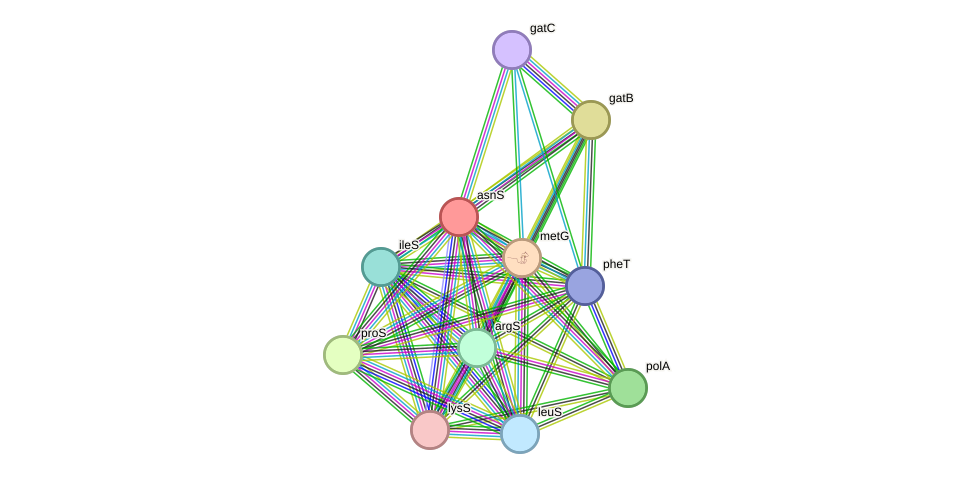 STRING protein interaction network