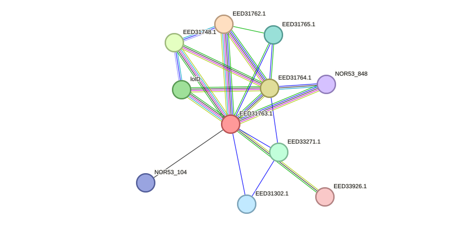 STRING protein interaction network