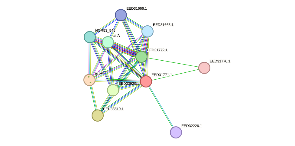 STRING protein interaction network