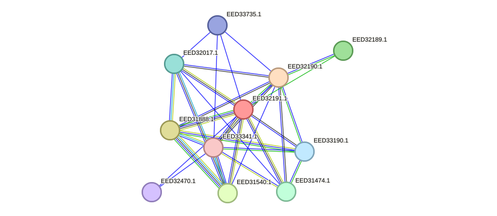 STRING protein interaction network