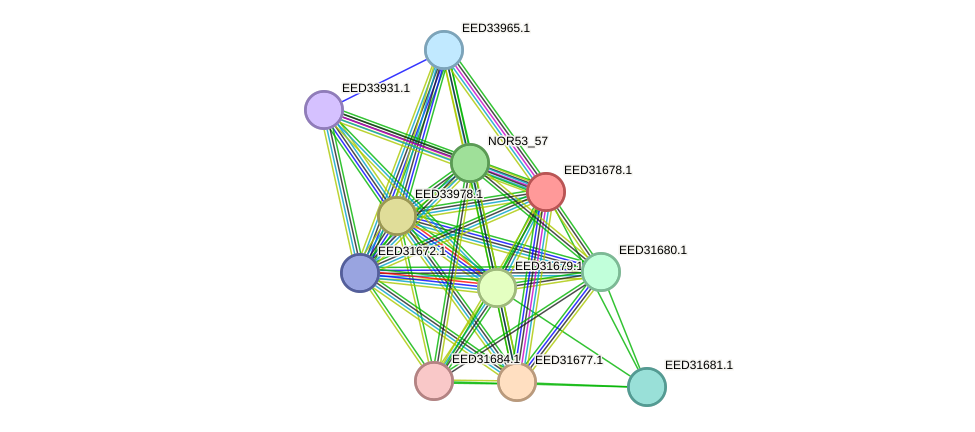 STRING protein interaction network
