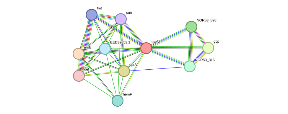 STRING protein interaction network