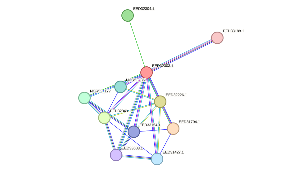 STRING protein interaction network