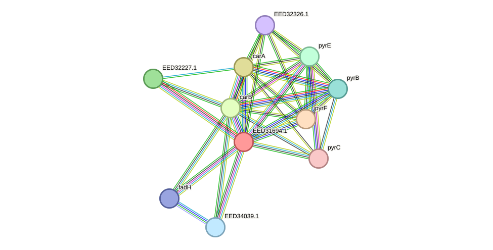 STRING protein interaction network