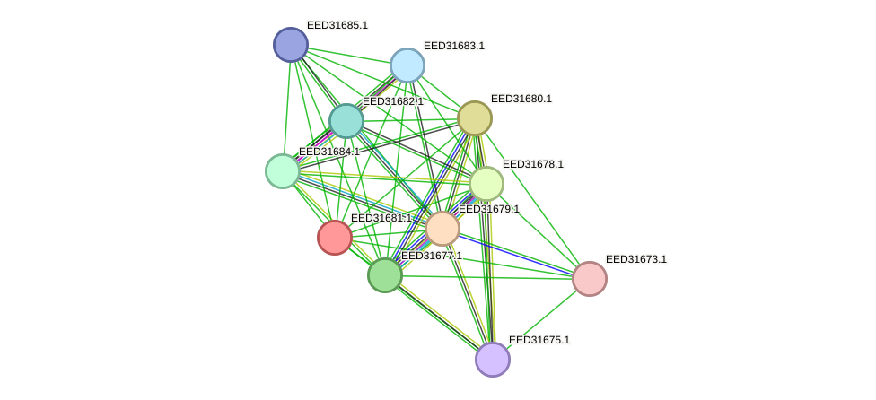 STRING protein interaction network