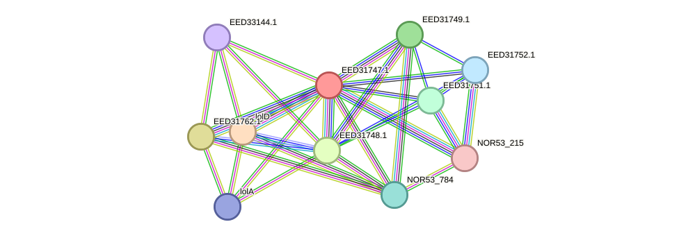 STRING protein interaction network