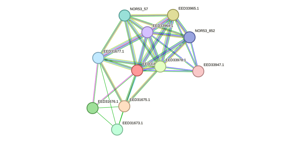 STRING protein interaction network