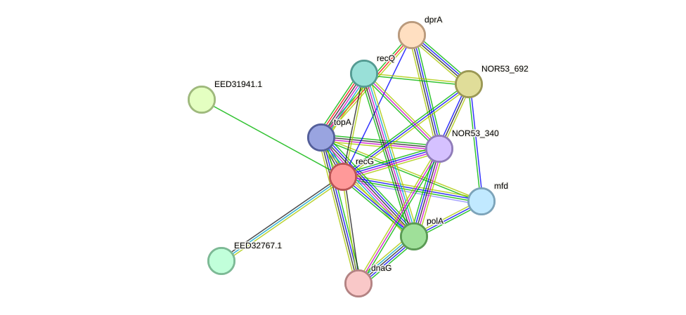 STRING protein interaction network