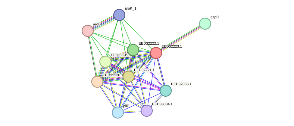 STRING protein interaction network