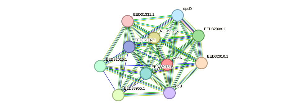 STRING protein interaction network