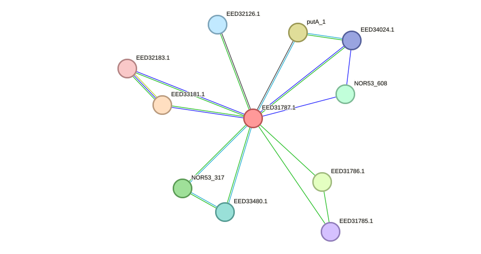 STRING protein interaction network