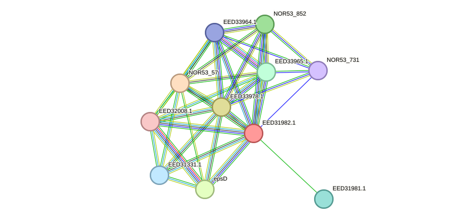 STRING protein interaction network