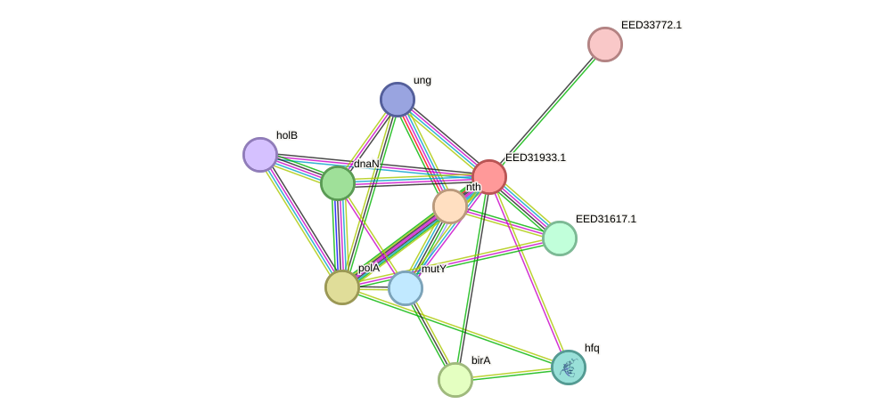 STRING protein interaction network