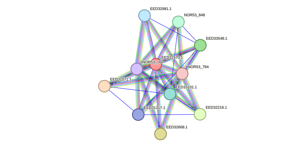 STRING protein interaction network