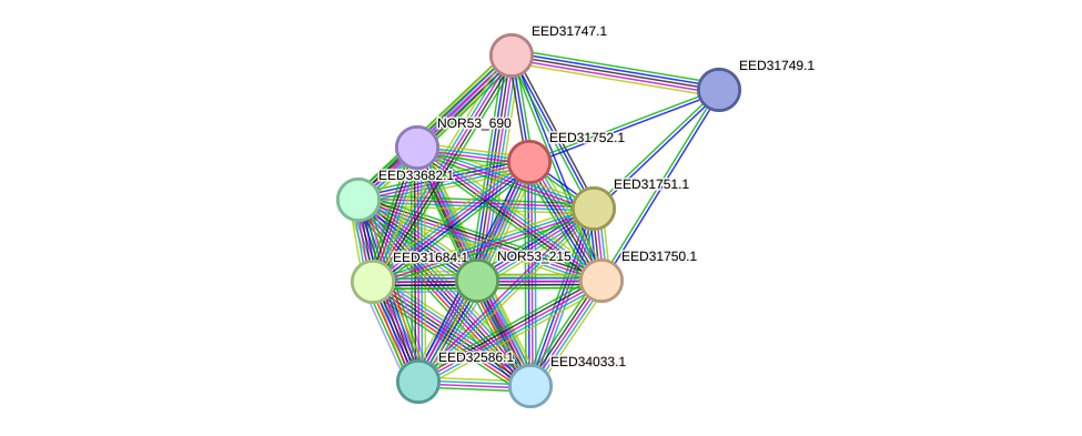 STRING protein interaction network