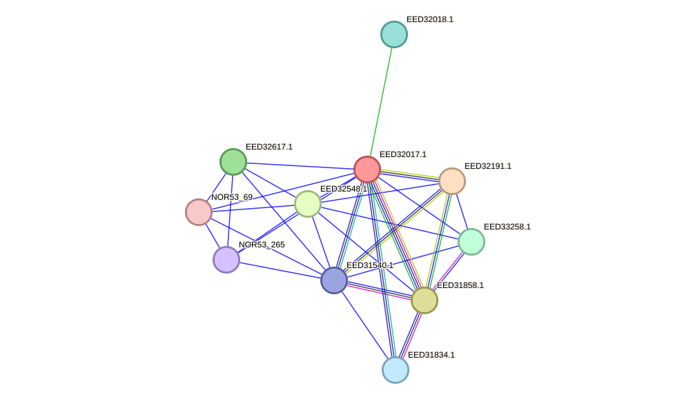 STRING protein interaction network