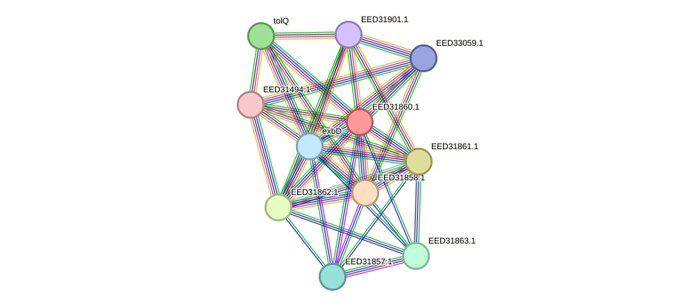 STRING protein interaction network