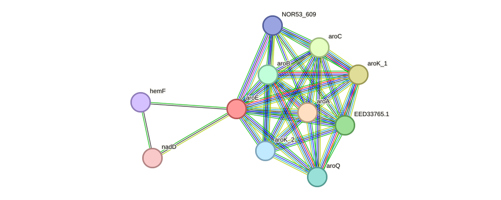 STRING protein interaction network