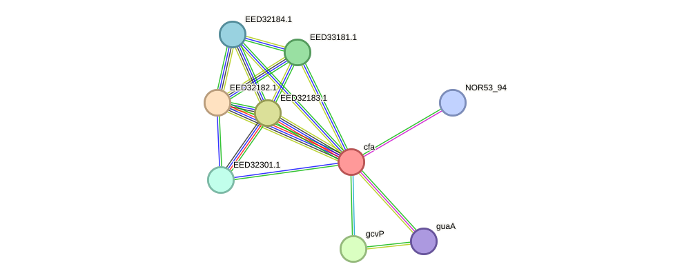STRING protein interaction network