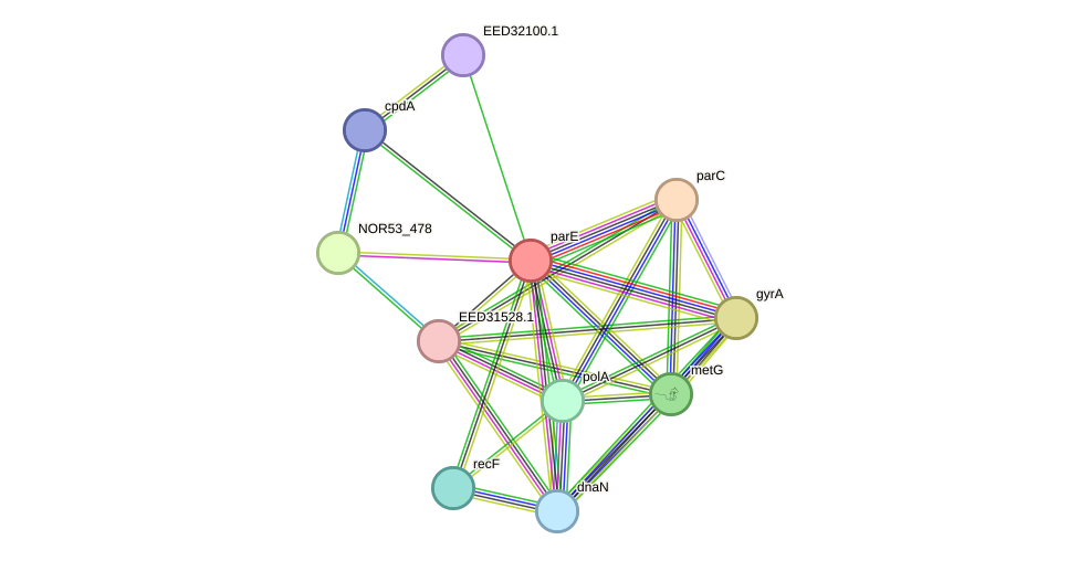 STRING protein interaction network