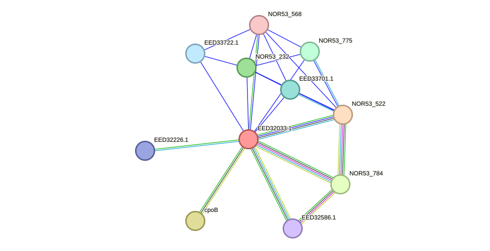 STRING protein interaction network