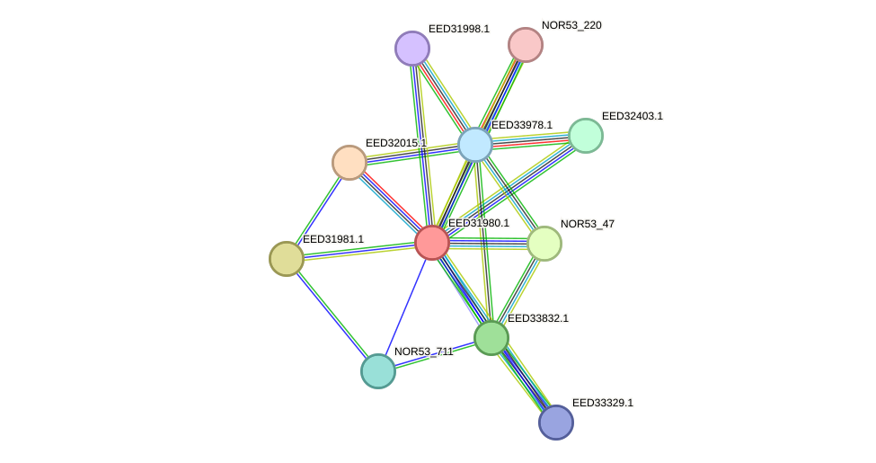 STRING protein interaction network