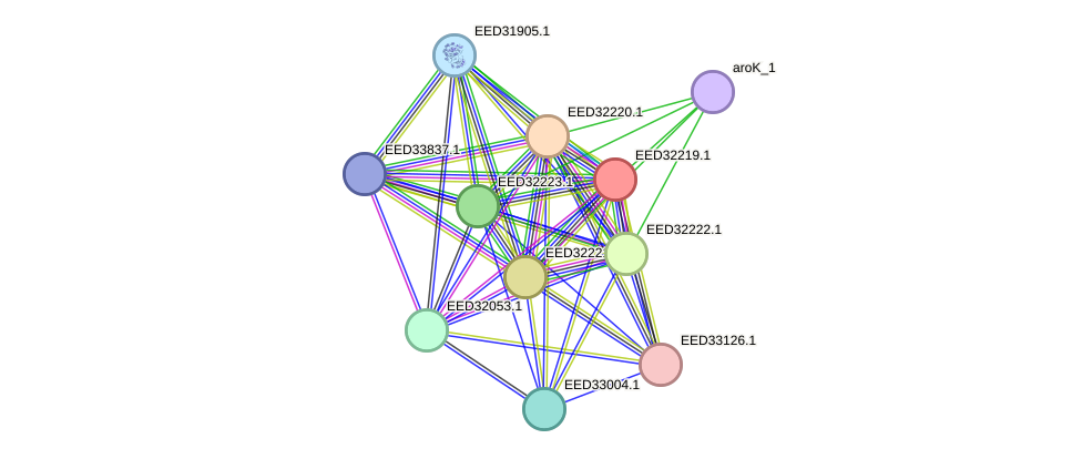 STRING protein interaction network