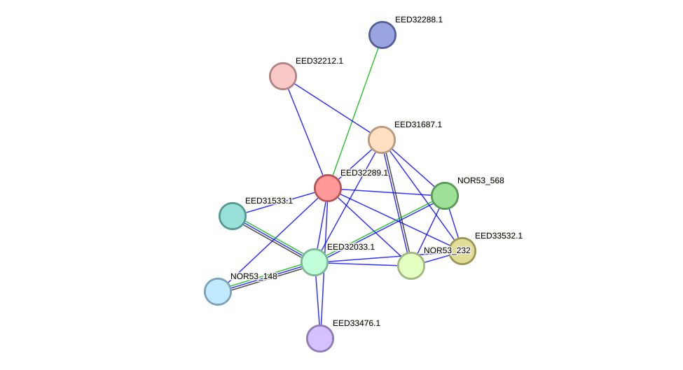 STRING protein interaction network