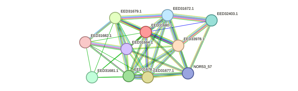 STRING protein interaction network
