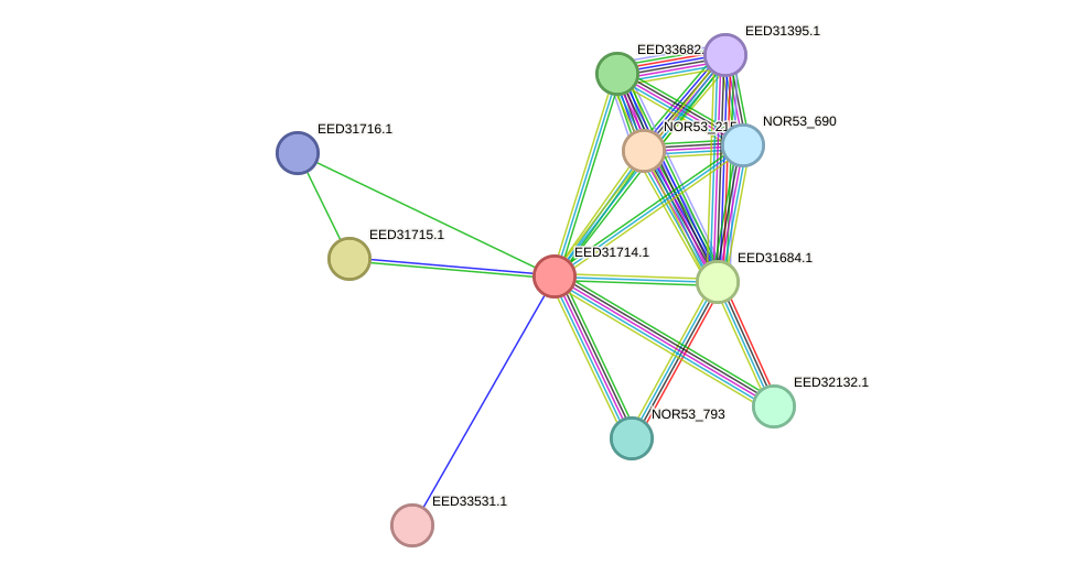 STRING protein interaction network