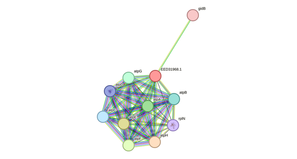 STRING protein interaction network