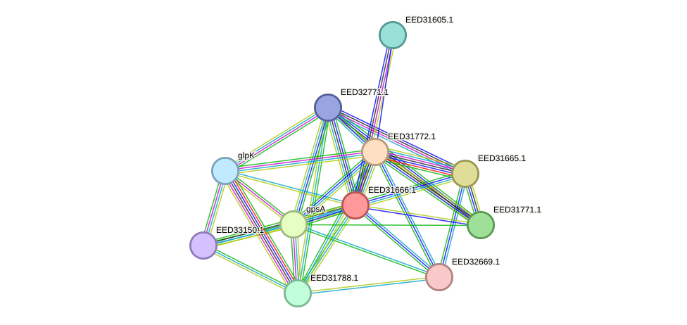STRING protein interaction network