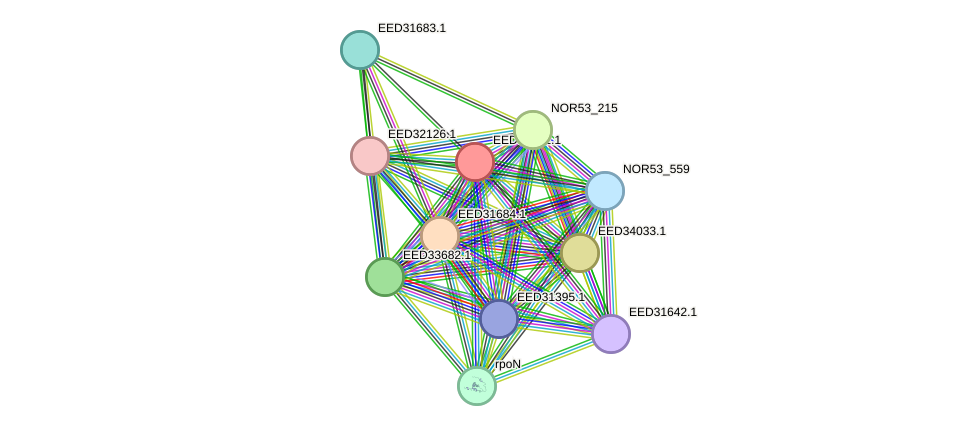 STRING protein interaction network