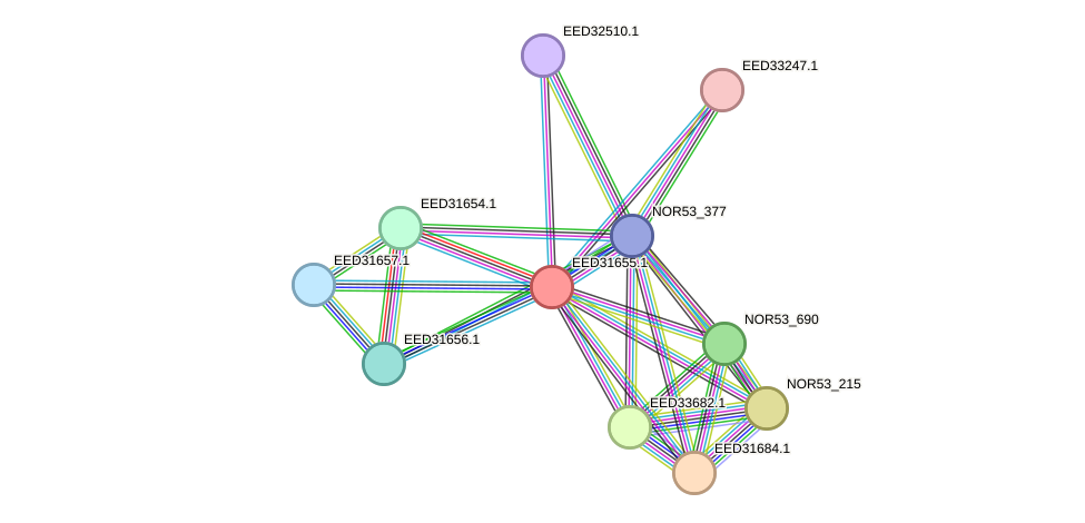 STRING protein interaction network