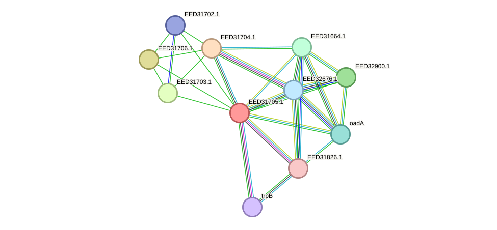 STRING protein interaction network