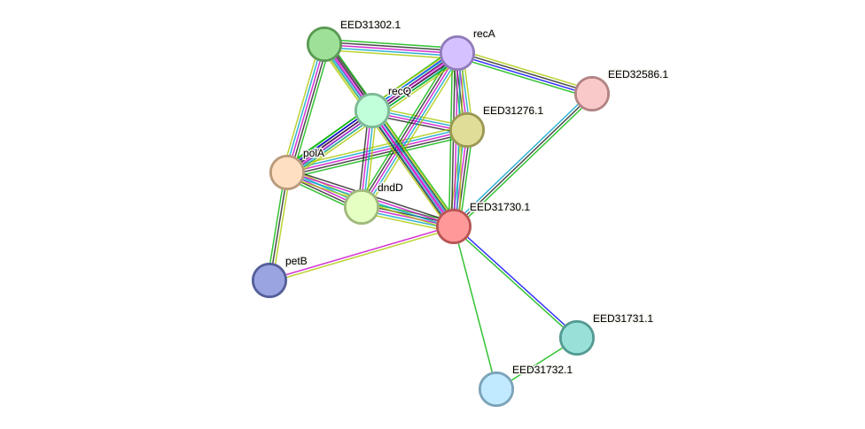 STRING protein interaction network