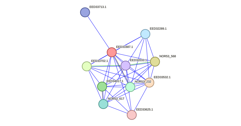 STRING protein interaction network