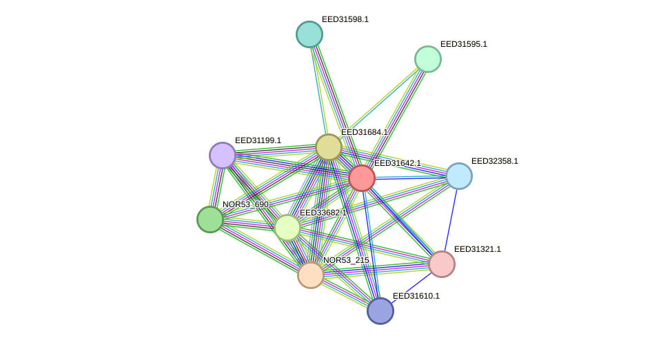 STRING protein interaction network