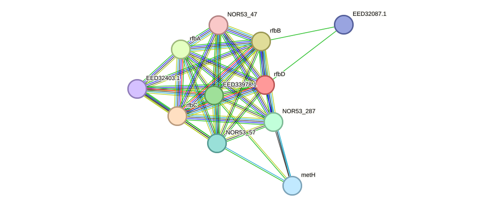STRING protein interaction network