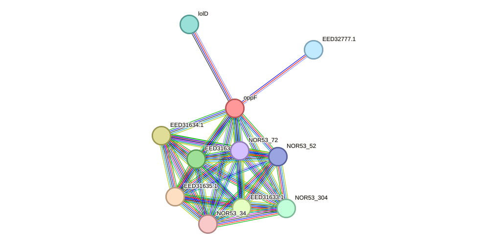 STRING protein interaction network
