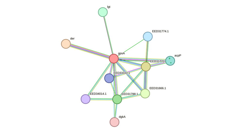 STRING protein interaction network