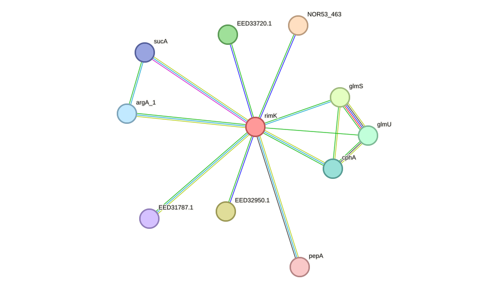 STRING protein interaction network