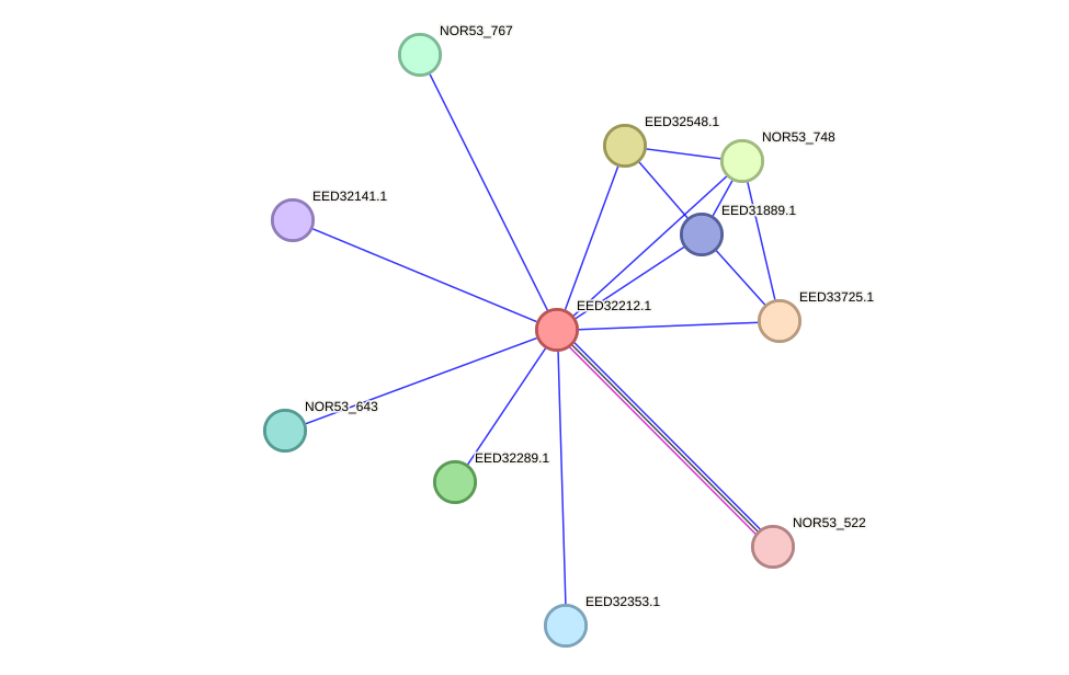 STRING protein interaction network