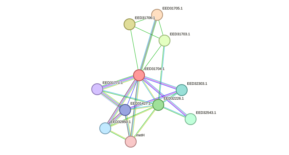 STRING protein interaction network