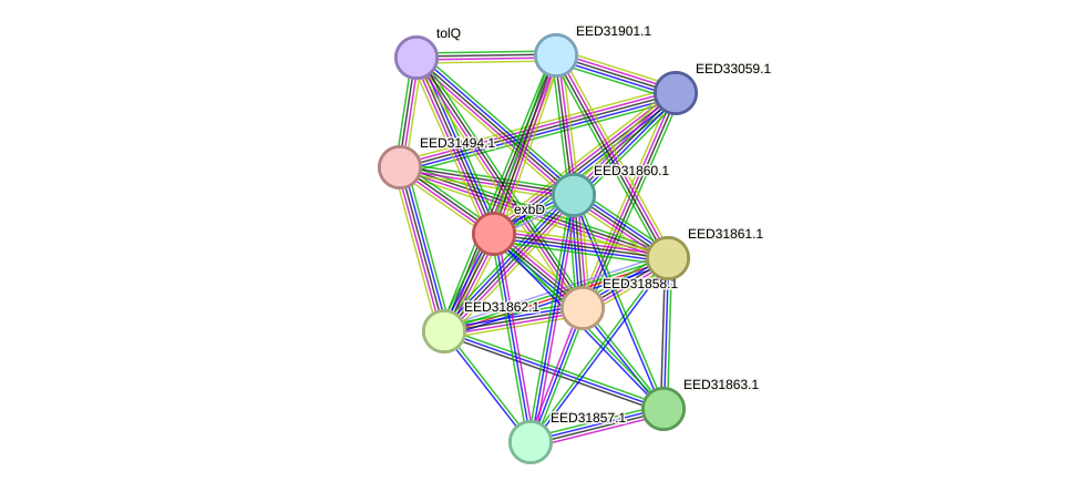 STRING protein interaction network