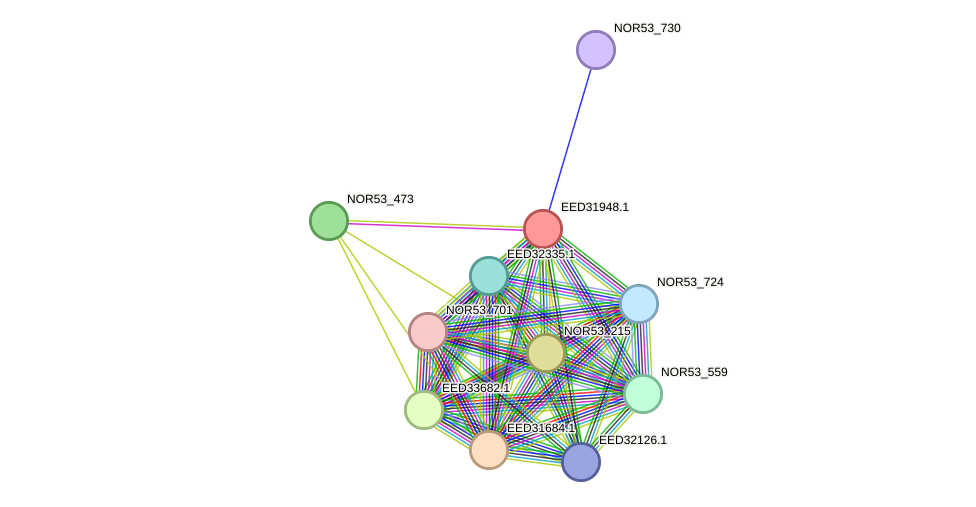 STRING protein interaction network