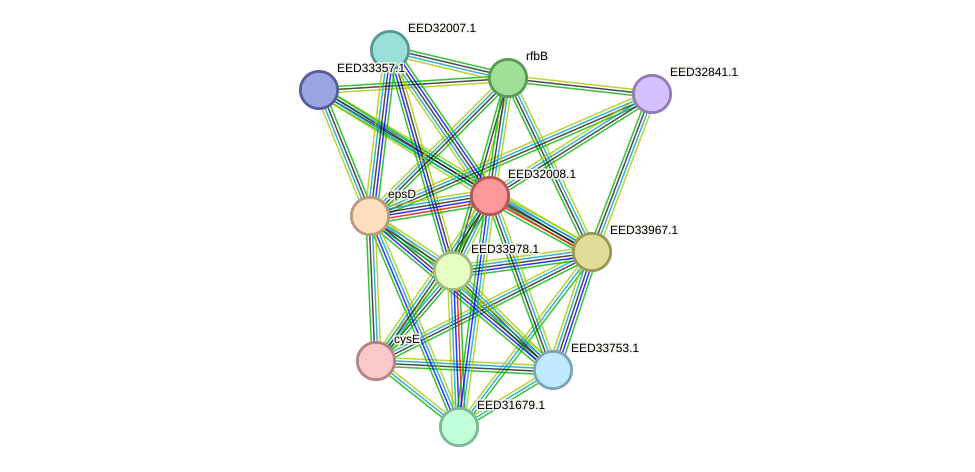 STRING protein interaction network