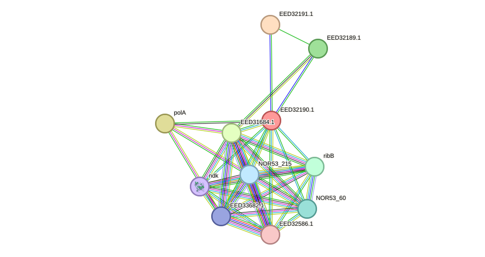 STRING protein interaction network