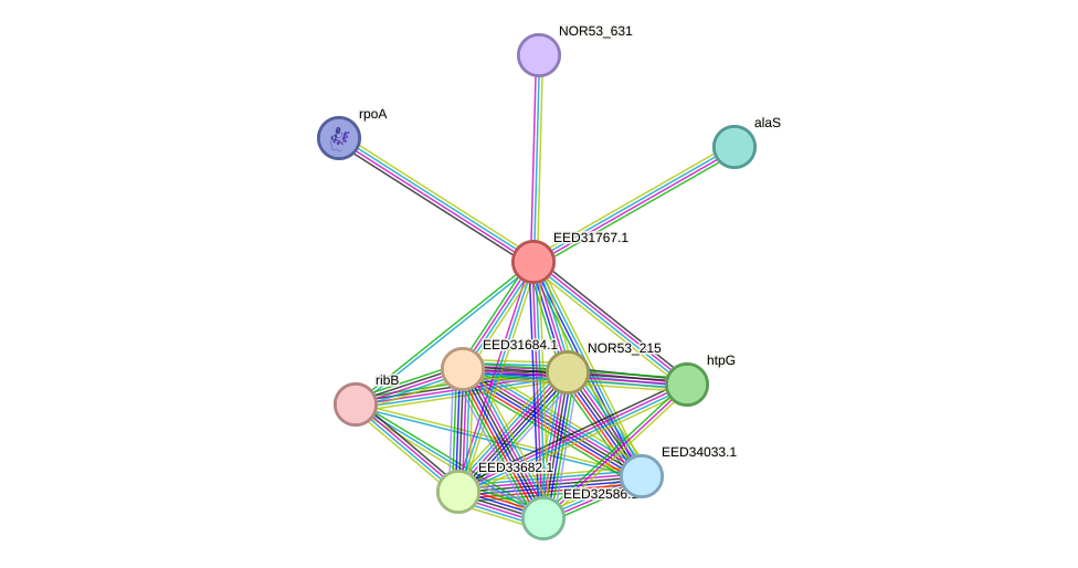 STRING protein interaction network